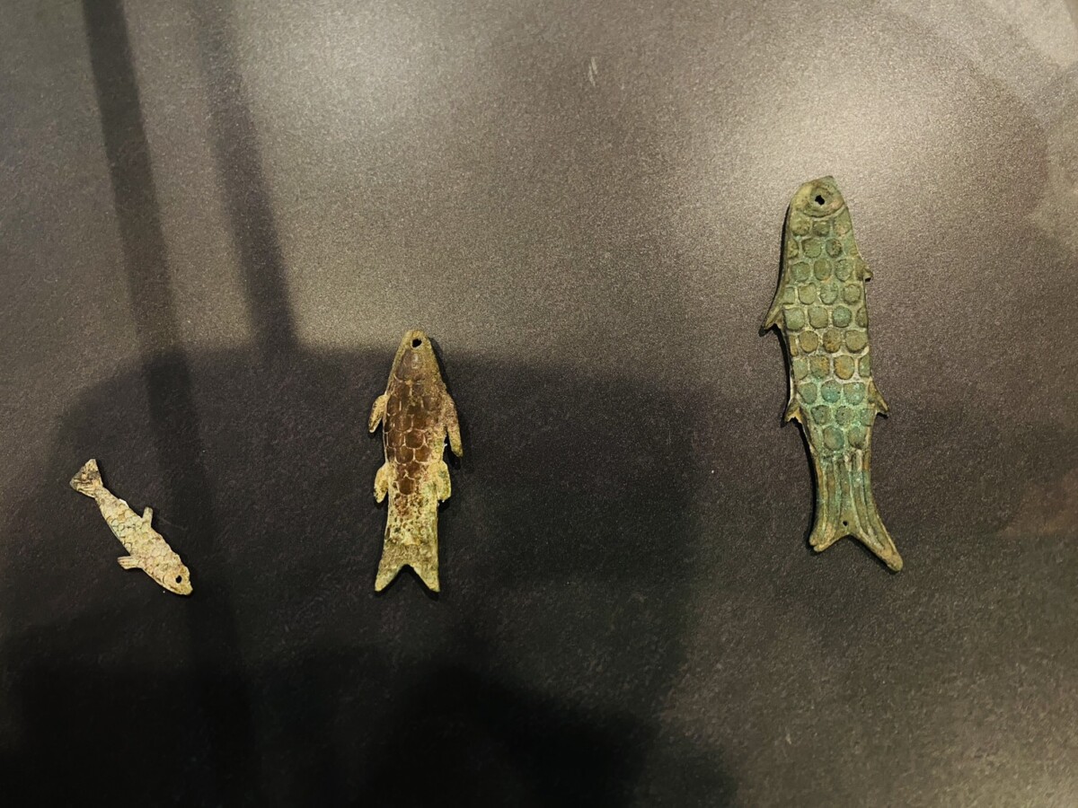 古幣串起6000年文明！斗南「時光拘留所」化身千年貨幣展場